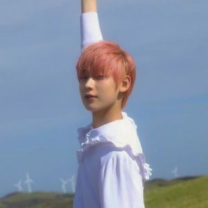 Meet your Posher, Bella